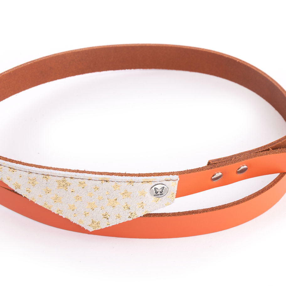 Collier de chien orange, triangle beige et doré, boucles décoratives, Flonimaux.