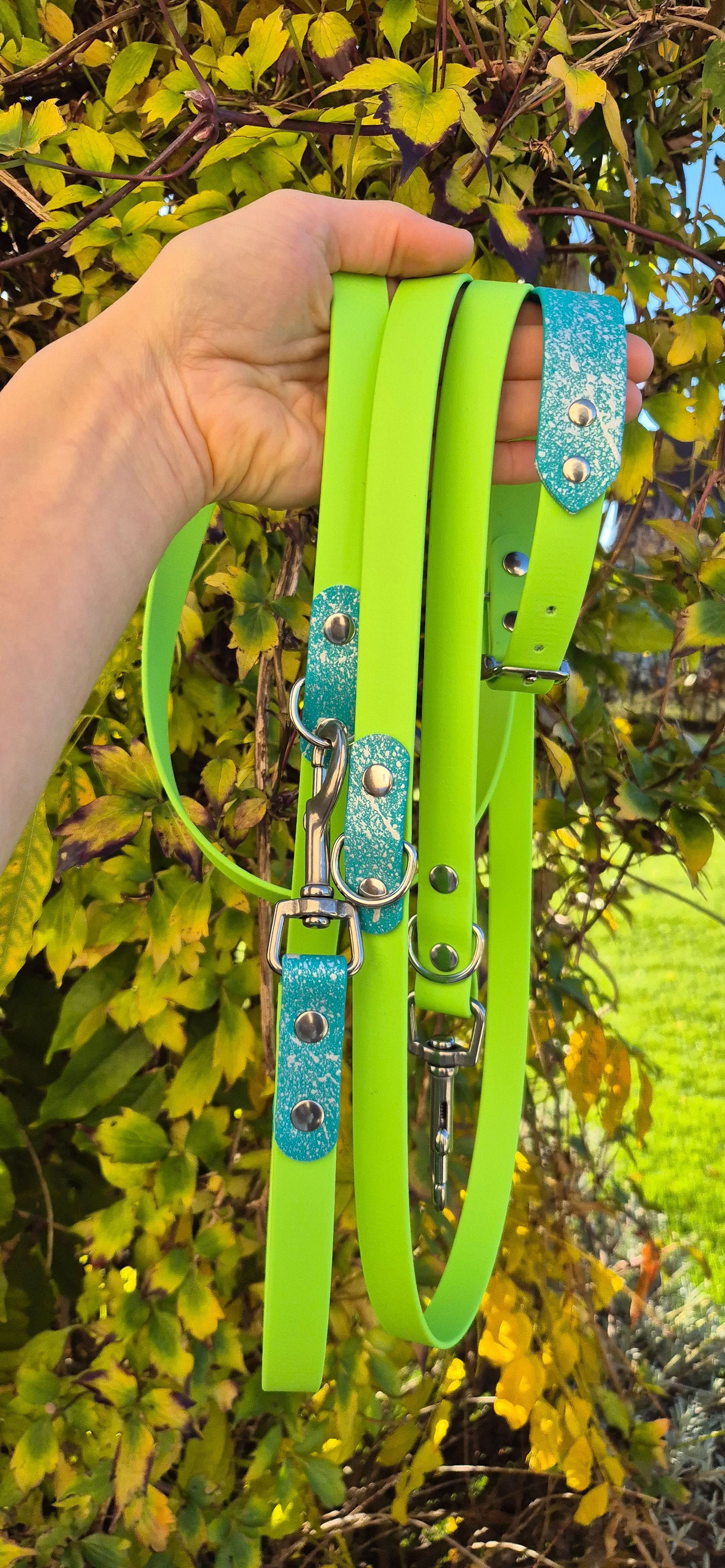 Main verte pour chien, laisse verte, collier, boucles et rivets turquoise, en extérieur.