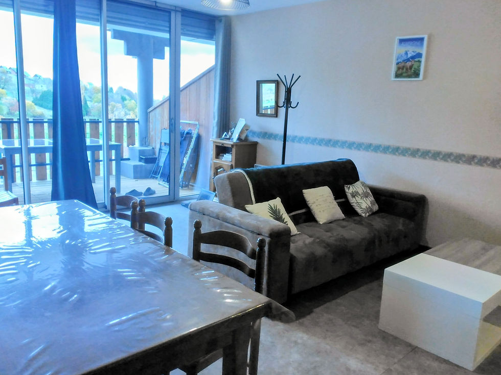 pièce de vie et vue terrasse