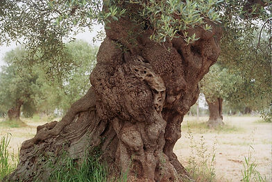 __photo accompagnement individuel.jpg