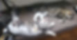 received_576376443304955.jpeg