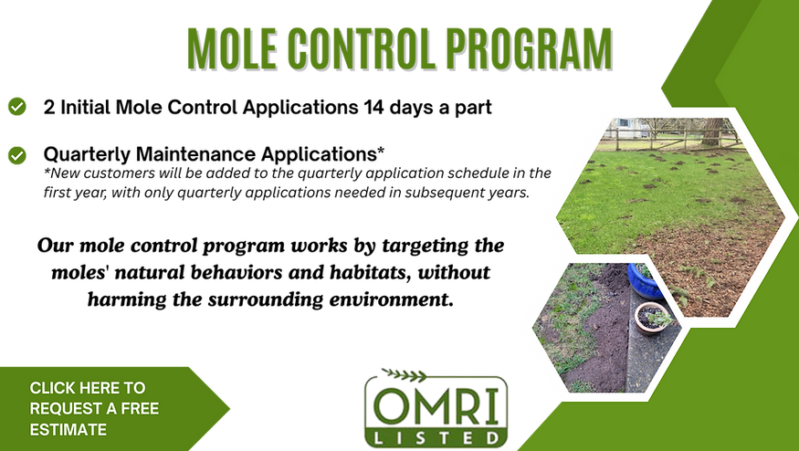 Mole control info, moles in lawn, moled damage to lawns, organic mole control