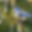 0894B257-E638-4964-BF7F-99B450010F32.png