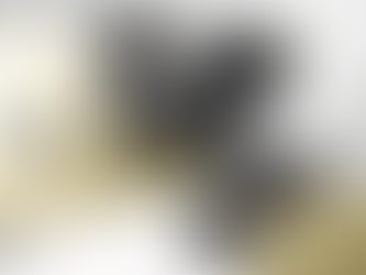 ORIBE žvaigždžių žygis