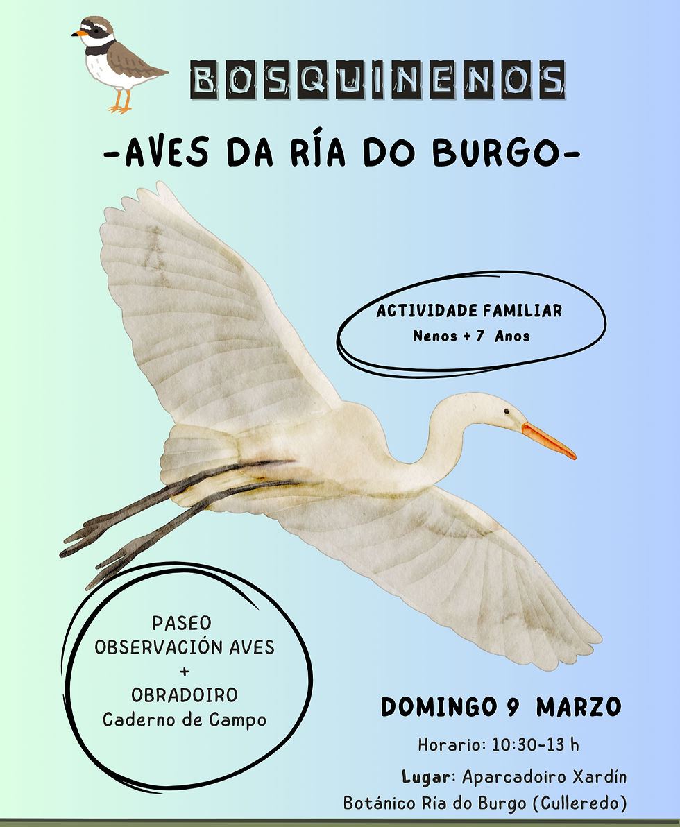 Cartel Aves Ria do Burgo