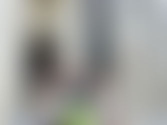 SUGIHARA PRO konferencijoje