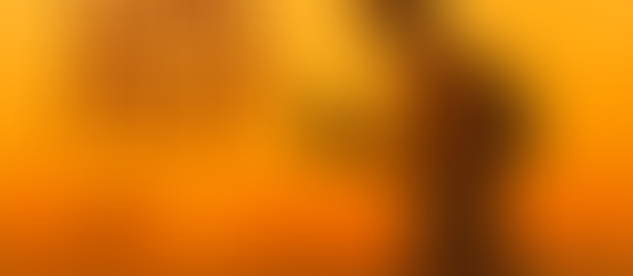 Los Dioses Deben Estar Locos (Sudafrica/Botsuana, 1980)