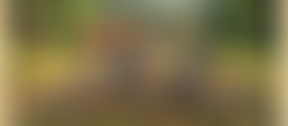 La historia de amistad definitiva de Stephen King.