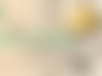 Announcing Napoli Ice Cream's 2026 Ramadan Gelato Collection: Elevate Your Hospitality