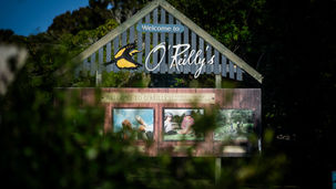 O'Reilly's Rainforest Retreat