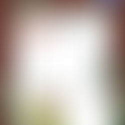 Portfolio - Schnitzeljagd im Wald