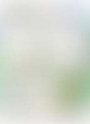 4er-Set - Neujahr-Portfolios