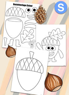 Mini Kreativbundle - Nuss
