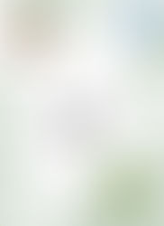 Fensterbild - Igel