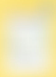 Portfolio - In Sommerlaune