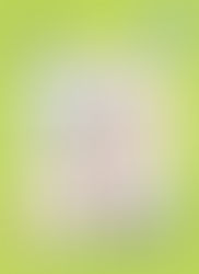 Portfolio - Über mich#2