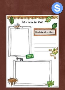 Portfolio - Ich erkunde den Wald