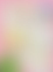 Kartenpaket - Wer weiß was das ist?