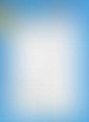 Portfolio - Unser Aquarium