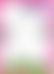 Mini Bastelbundle - Tulpe