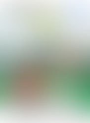 Bewegungsgeschichte - Ritter Tom