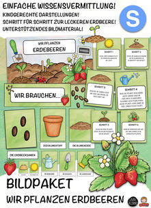 Bildpaket - Wir pflanzen Erdbeeren