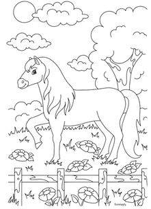 Ausmalbild - Pferd