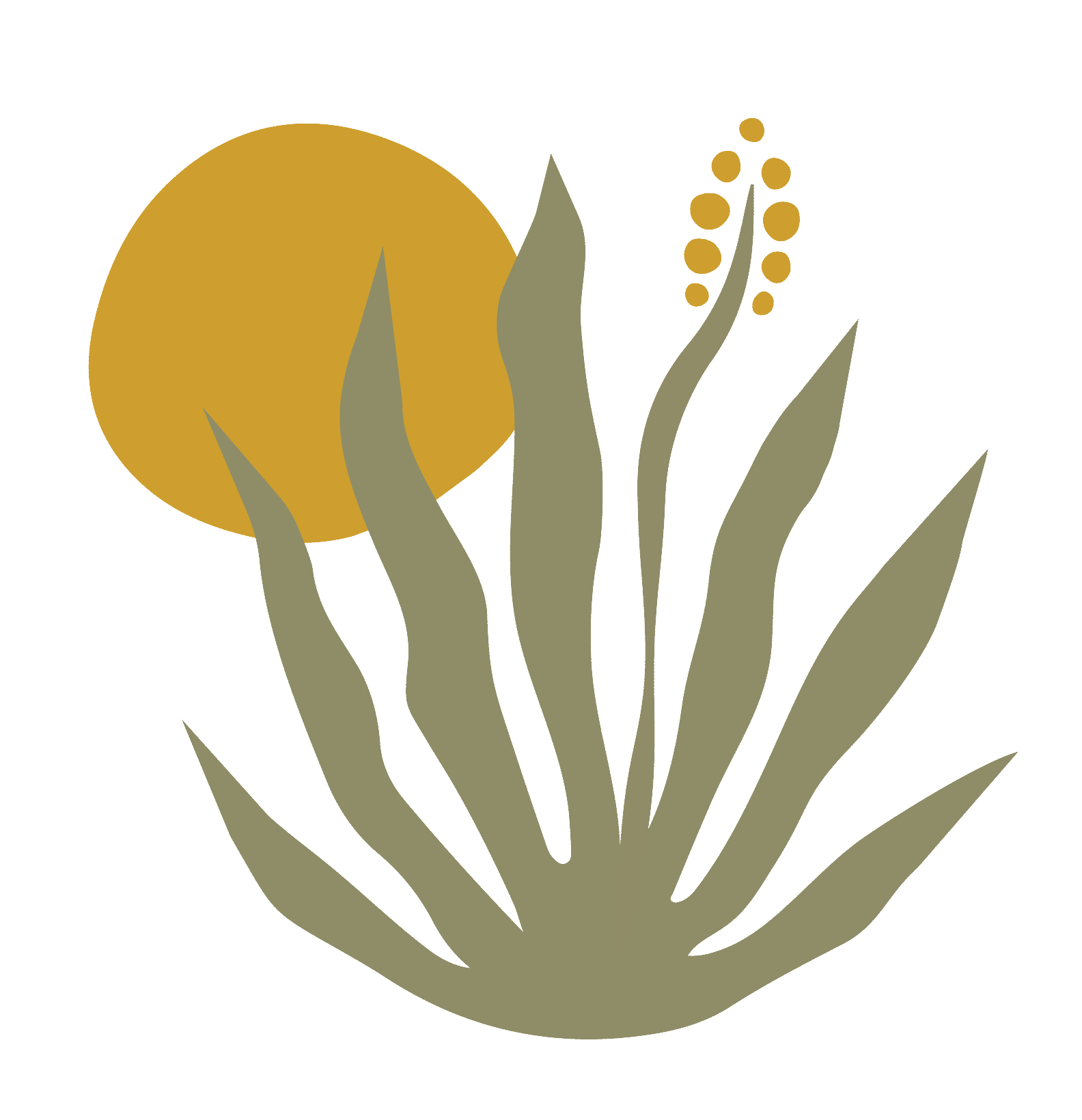 Rivera-Lang-Design-Icon.gif