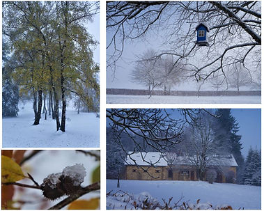WIX winter.JPG
