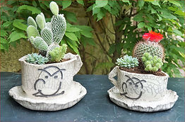 SI KERA UIL CACTUS DSC04249.JPG