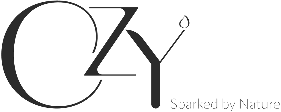 CZY- Passion Project- Logo