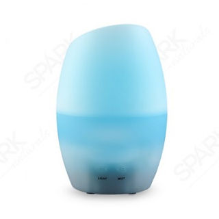 ZAQ Jelly Fish