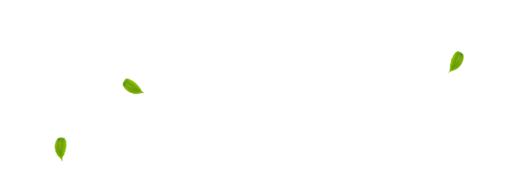 スクリーンショット 2026-04-25 5.34_edited.png