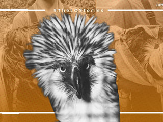 FLY HIGH, SAWAGA-DALWANGAN: RESCUED PHILIPPINE EAGLE DIES DESPITE SIGNS OF RECOVERY