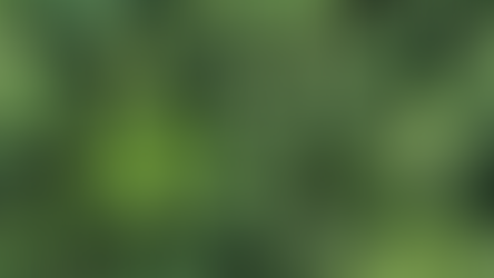 El compromiso del Consejo con la Sostenibilidad