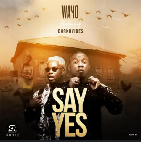 SAY YES feat. Darko Vibes produced by Kuvie