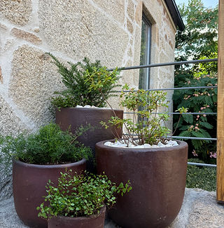 Design em harmonia com o jardim