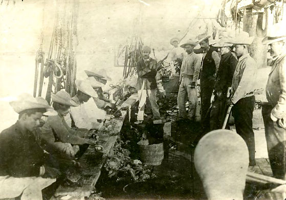 Cosecha de perlas en La Paz.jpg