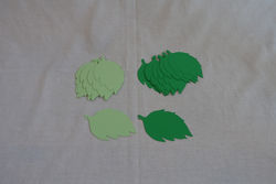 Leaf Wishes/Advice 1