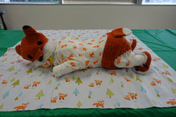 Sleeping Baby 1