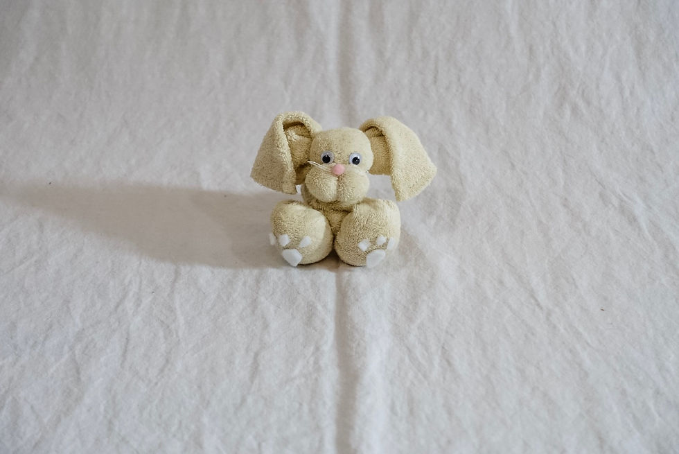 Thumbnail: Washcloth - Bunny #3 ®