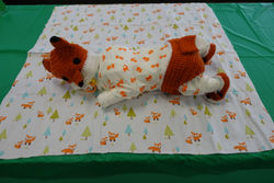 Sleeping Baby 2