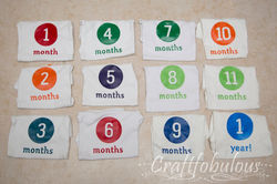 Monthly Onesies for Pictures.jpg