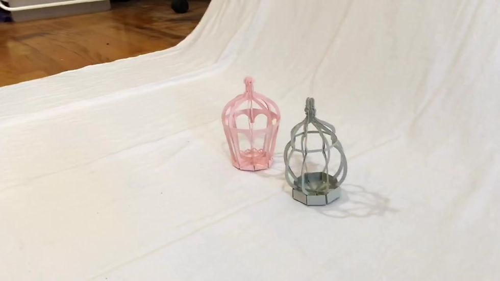 Thumbnail: Paper Bird Cages