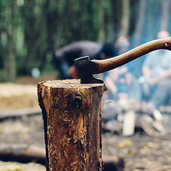 Tree Removal
