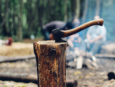 Axe in Tree Stump