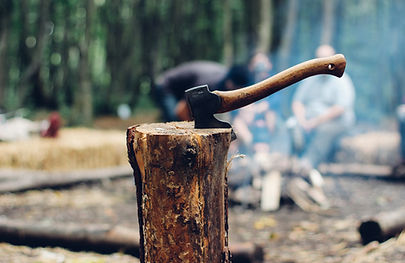 Axe in Tree Stump