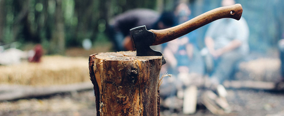 Axe in Tree Stump