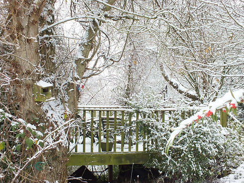 Scenic winter garden in Kirkcaldy with a wooden birdhouse and snow covered trees and decking