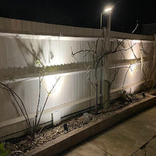 Low level outdoor lighting illuminating a white brick wall and planter at night